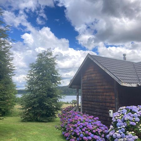 Antuquelen Lodge Cabanas فروتيلار المظهر الخارجي الصورة