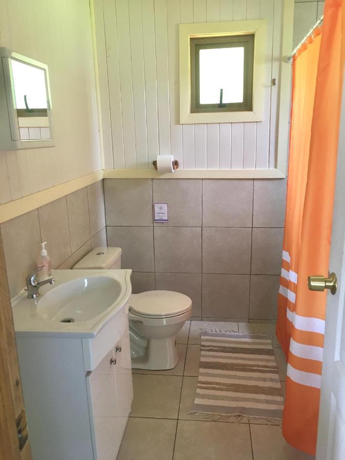 Antuquelen Lodge Cabanas فروتيلار المظهر الخارجي الصورة